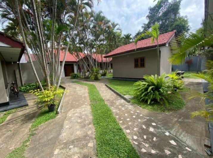 Blue Bell Hotel Negombo Exterior photo